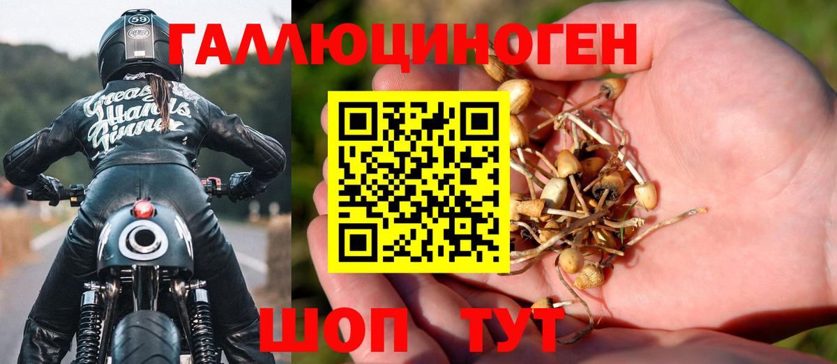 Галлюциногенные грибы Cubensis Кстово