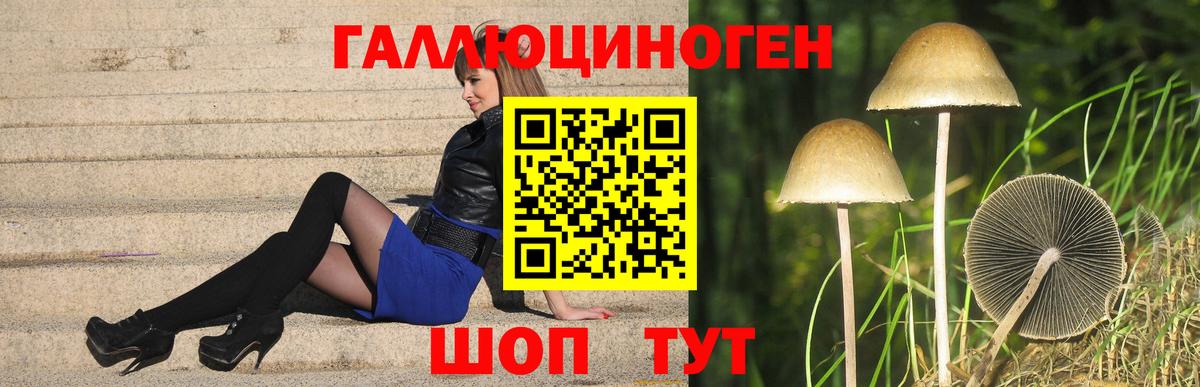 Галлюциногенные грибы прущие грибы  Вход с VPN  Кстово 